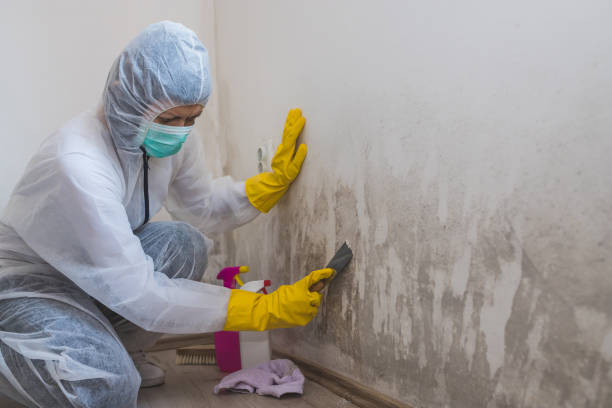 Best Mold Testing  in Washoe Valley, NV