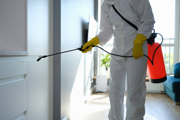 Best Certified Mold Removal  in Washoe Valley, NV